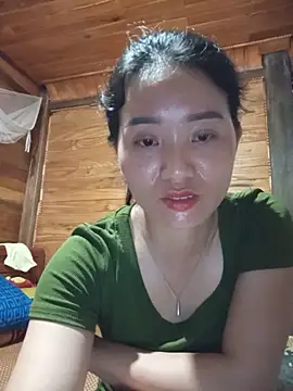 Td3di webcam