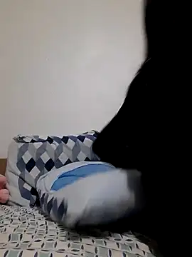 Camilegaucha webcam