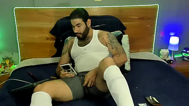 Prometeo-grizzly webcam