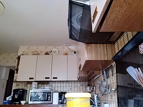 Perv10 webcam