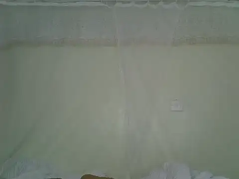 Sexy_vylsa