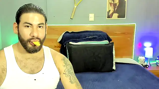 Prometeo-grizzly webcam
