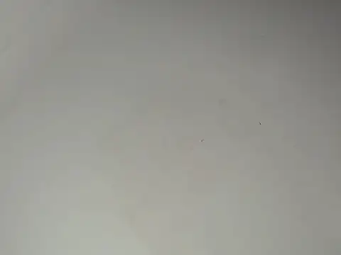 noeh_lasston webcam