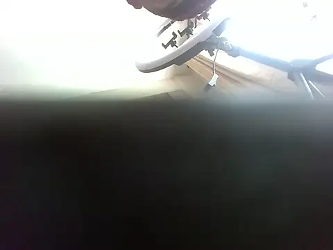 cocolaurah webcam