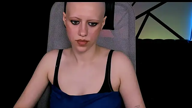 LidaDarknet webcam