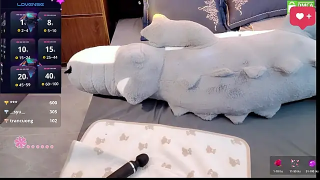 Dully_ana webcam