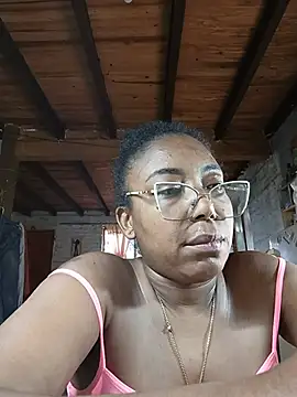 ChanneldelaCroix webcam