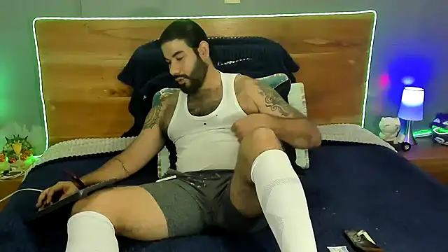 Prometeo-grizzly webcam