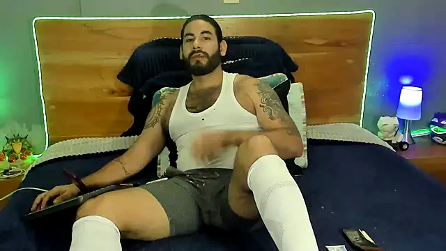 Prometeo-grizzly webcam