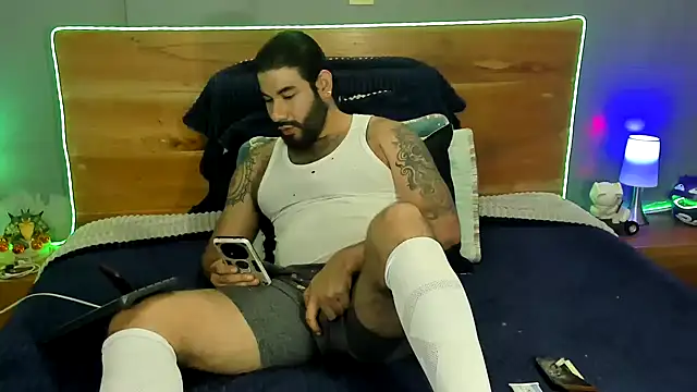 Prometeo-grizzly webcam