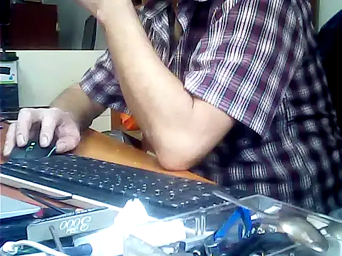 zormen355 webcam