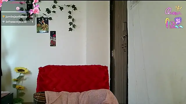 Prisu_BMW webcam