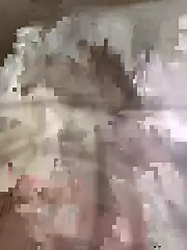 Foxfofo webcam