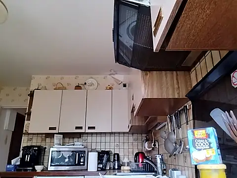 Perv10 webcam