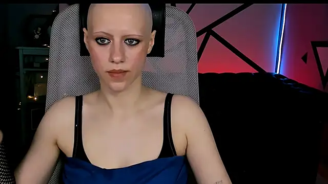 LidaDarknet webcam