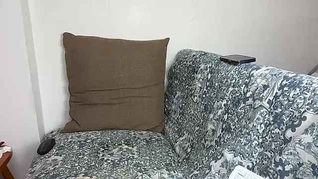 velvetvista webcam