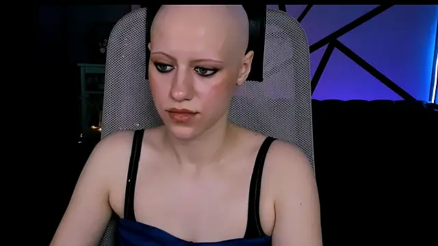LidaDarknet webcam
