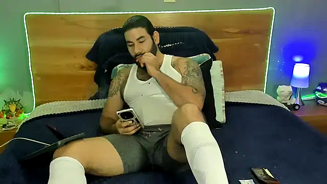 Prometeo-grizzly webcam