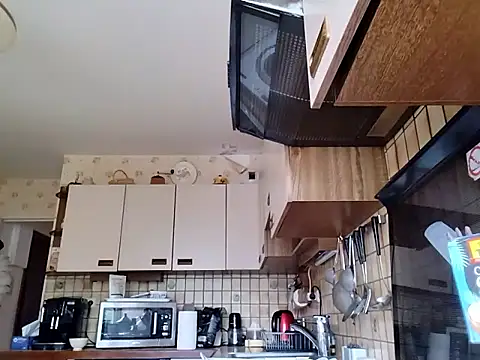 Perv10 webcam