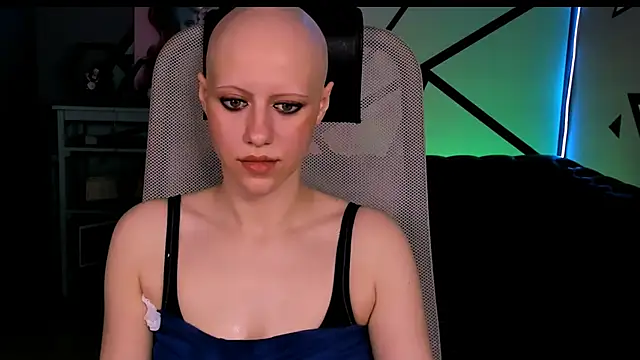 LidaDarknet webcam