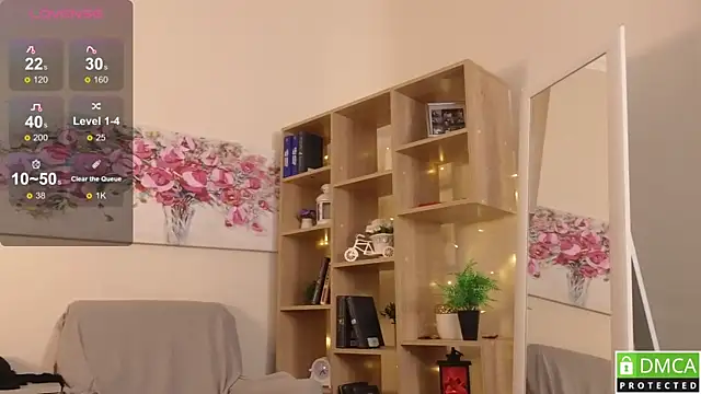 Sue_Sanders webcam