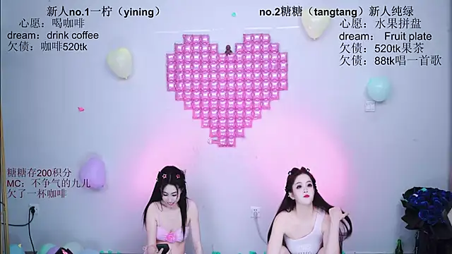 CCTW-100 webcam