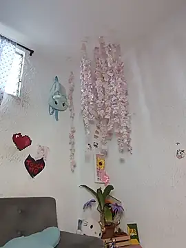 Kuutar live cam
