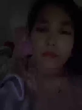 LL-001 webcam