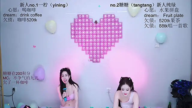 CCTW-100 webcam