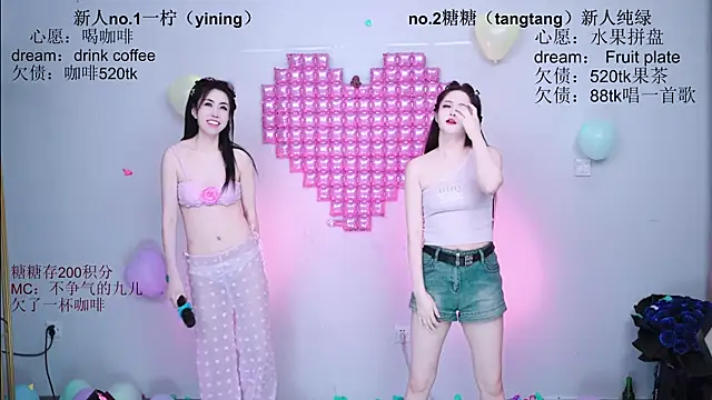 CCTW-100 webcam