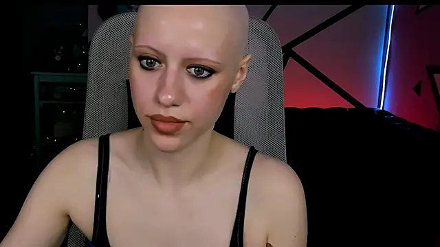 LidaDarknet webcam