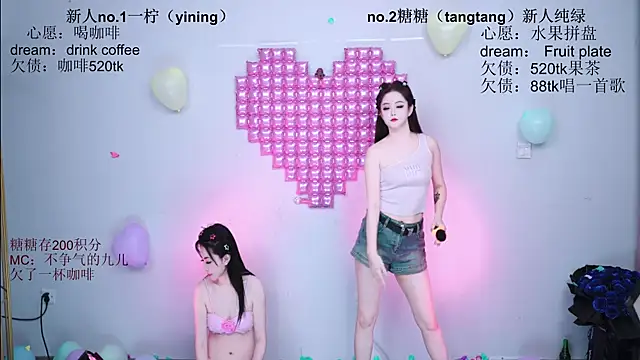 CCTW-100 webcam