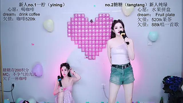 CCTW-100 webcam
