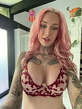 Stella-Kink webcam