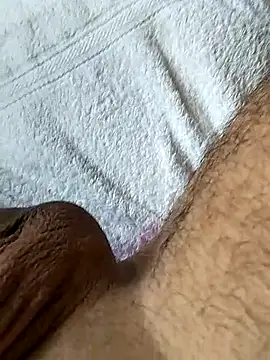 pegaso369 webcam