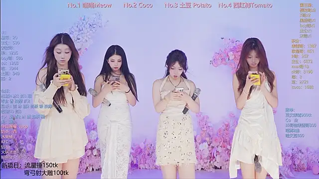 SSF-888 webcam