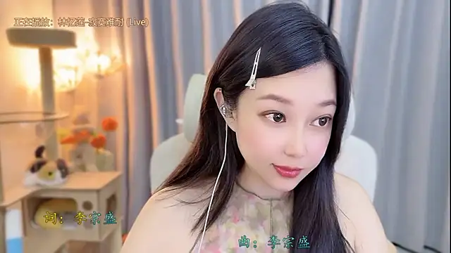 facai-feifei webcam