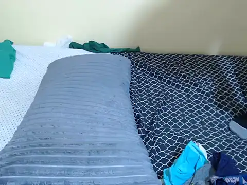 lynnsee webcam