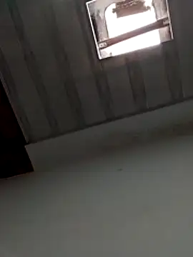 basrdchi webcam
