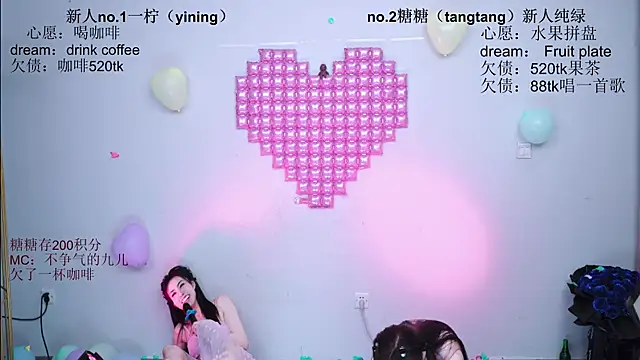 CCTW-100 webcam
