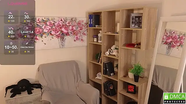 Sue_Sanders webcam