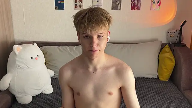 metarion webcam