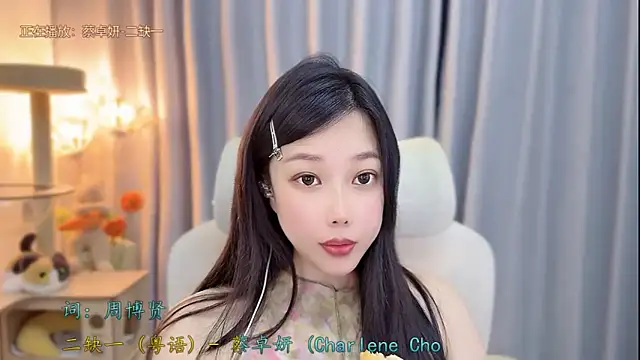 facai-feifei webcam