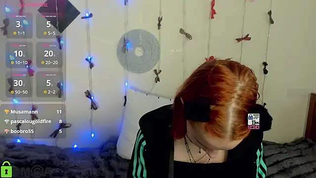 Vedime webcam