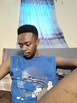 69_SINNS webcam