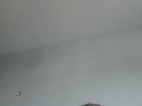 CurvySquirter69 live cam on StripChat
