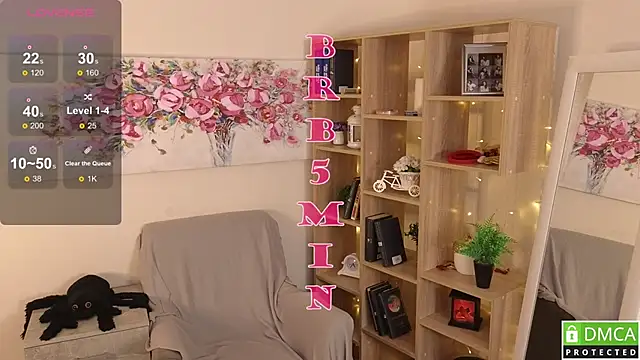 Sue_Sanders webcam