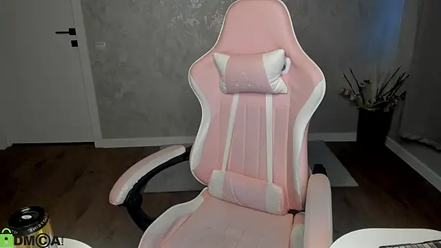 Lina-XD webcam