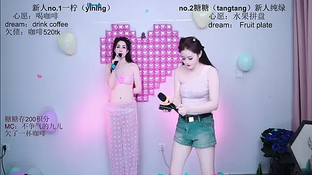 CCTW-100 webcam