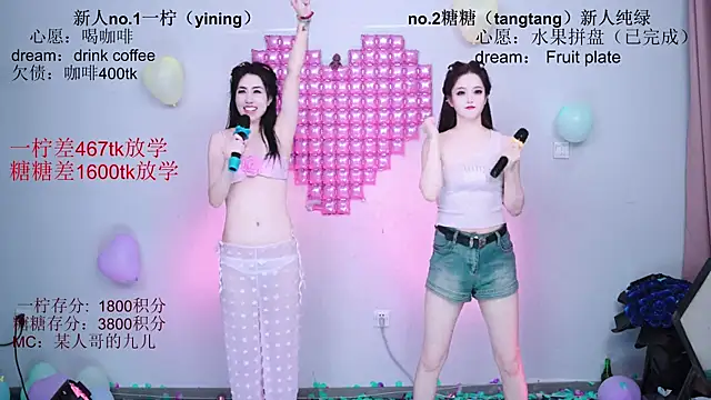 CCTW-100 webcam